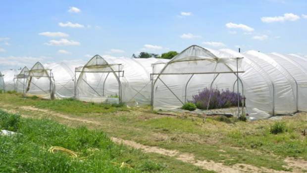 La métropole de Limoges lance son projet de ceinture maraîchère