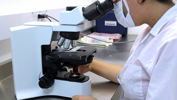 Impact des produits chimiques sur l’environnement et la santé : 22 questions de recherche prioritaires pour l’Europe