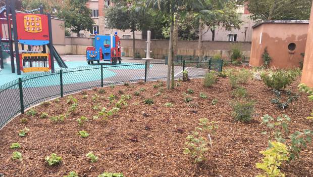 Une cour d’école résiliente pour faire face aux enjeux climatiques