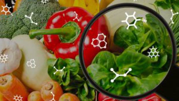 Perturbateurs endocriniens : Le projet de Stratégie nationale fait l’impasse sur l’alimentation, alerte Générations futures
