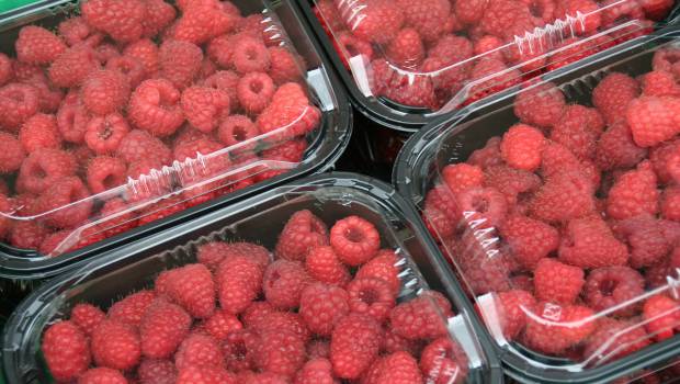 Paprec et le groupe Guillin s’associent pour développer le recyclage des barquettes alimentaires plastiques