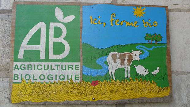 Agriculture bio : la Fnab demande un plan cuivre au gouvernement