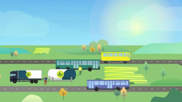 Oleo 100 : le premier carburant 100% issu du colza