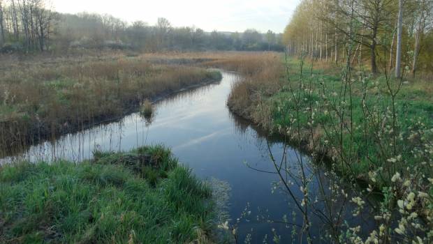 [Dossier] Dans l’Oise, la Trye retrouve son cachet