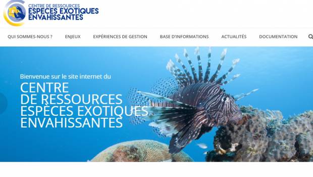 Espèces exotiques envahissantes : l'AFB et l'UICN inaugurent un centre de ressources