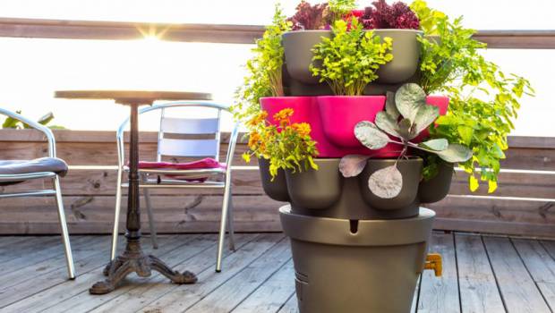 Le lombricomposteur devient mini-jardin