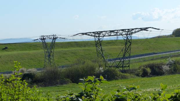 Biodiversité : l’AFB a deux ans pour mobiliser la société avant la COP15