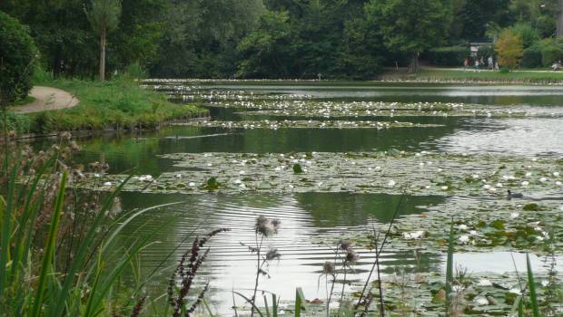 L'Agence de l'eau Rhône-Méditerranée Corse lance un appel à projets pour la biodiversité