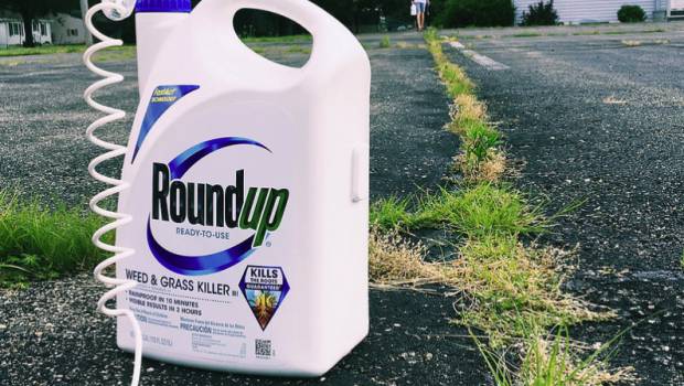 Glyphosate : la mise sur le marché Roundup Pro 360 est interdite
