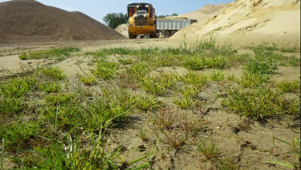 [Décryptage] Quand la nature s’invite dans les projets