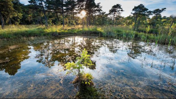 Politique de l'eau : l’équation périlleuse des 11èmes programmes des agences