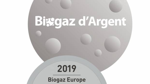 Les énergies vertes ont leurs champions