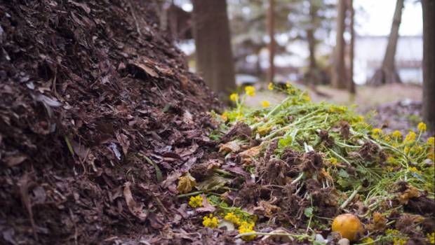 Suez entre au capital de Terrial, filiale du groupe Avril