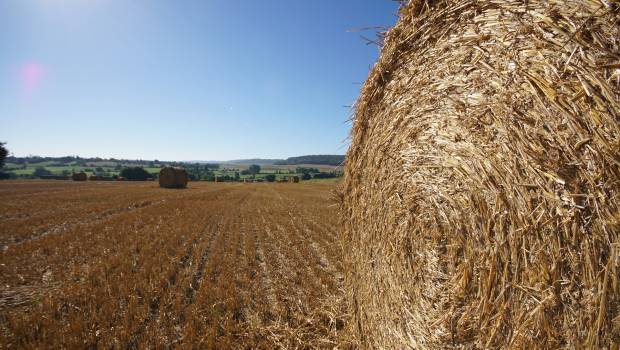 Global Bioénergies produit de l'isobutène à partir de paille de blé