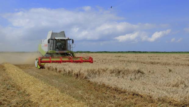 Les exploitations agricoles pourraient réduire leurs consommations énergétiques de 26 à 43%