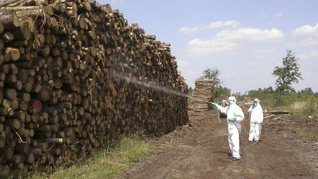 Des associations publient un manifeste « zéro pesticide dans les zones non-agricoles »