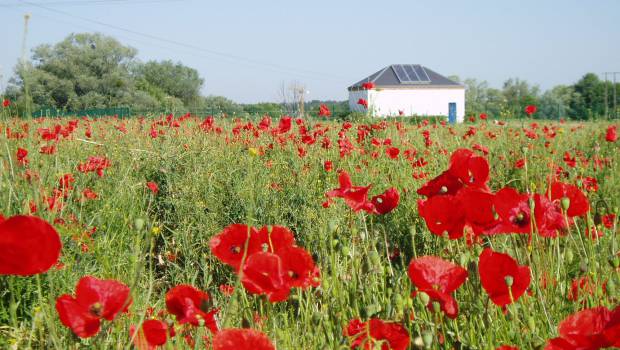 Pollution dans les captages d'eau : les mesures du Grenelle sont efficaces d'après l'UFC-Que choisir