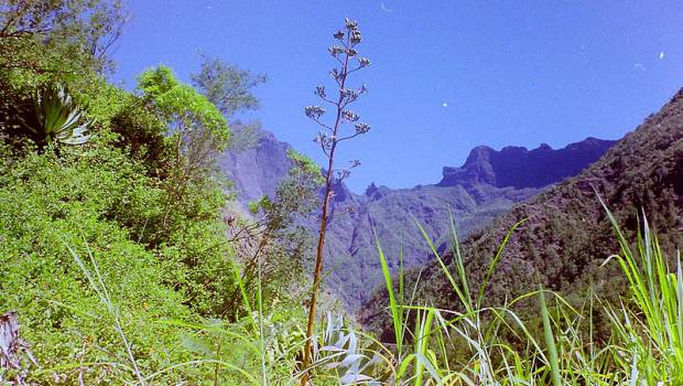 Le premier contrat de transition écologique en outre-mer est signé à la Réunion