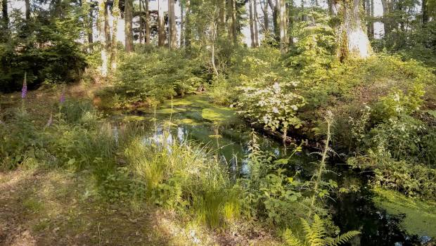 Le Sénat adopte le projet de loi pour la création de l’Office français de la biodiversité