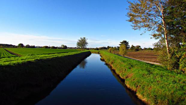Pesticides perturbateurs endocriniens : Générations Futures publie des cartes des eaux de surface suspectes