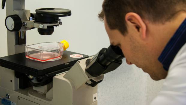 [Enquête] Bioessais, un potentiel à révéler