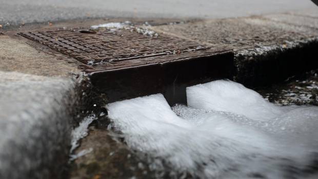 Biodiversité urbaine : les caniveaux, microstations de phyto-épuration ?