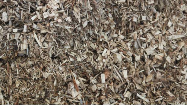 La première journée bois-énergie aura lieu le 23 mai prochain à Paris