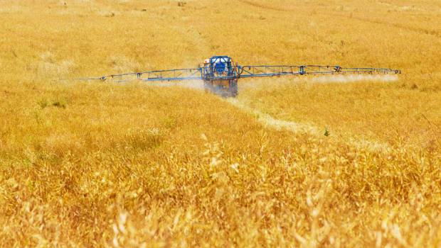 Agriculture : la PAC en voie de démantèlement