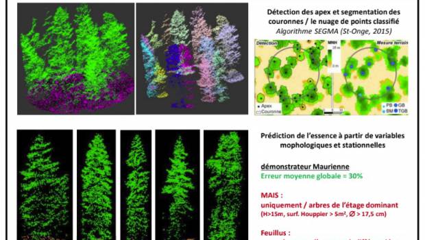 Le numérique au service de la forêt française