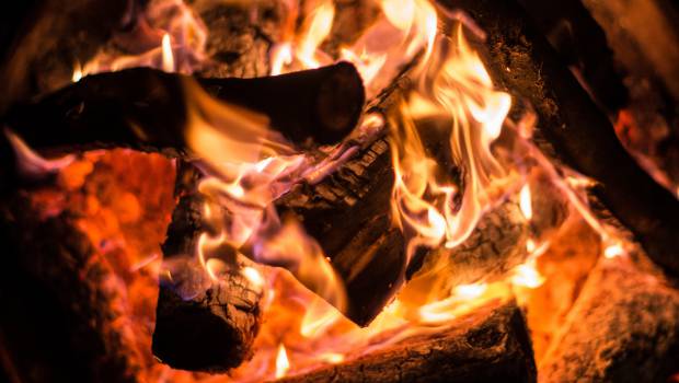 La filière bois-énergie tout feu tout flammes pour mobiliser les pouvoirs publics