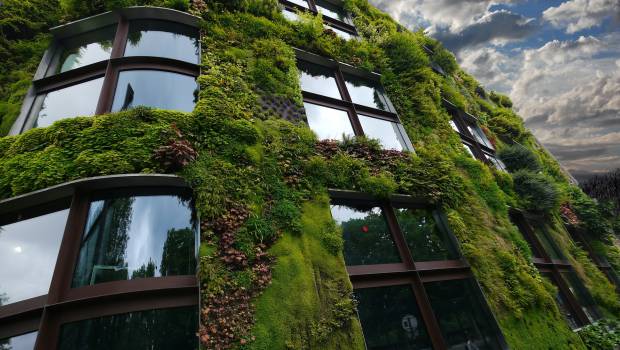 Un guide pour intégrer la biodiversité dans les plan locaux d’urbanisme