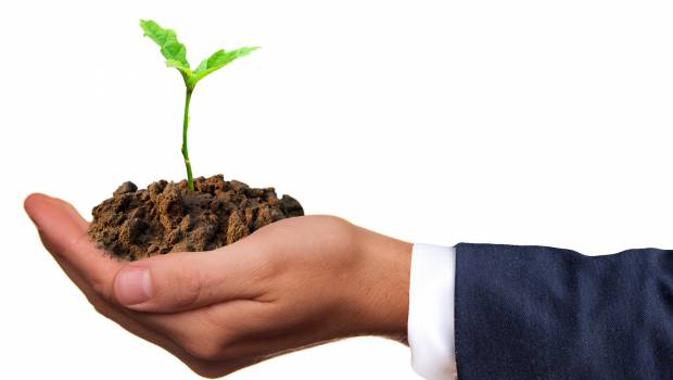 Une démarche pour engager les entreprises dans la lutte contre le changement climatique