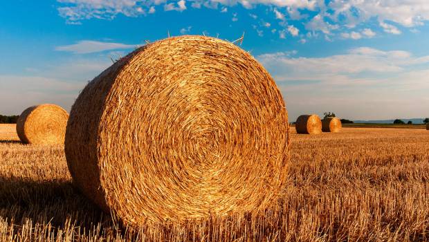 La Nouvelle-Aquitaine signe une feuille de route pour une agriculture durable