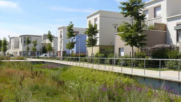 [Avis des pros] Repenser collectivement l’eau pluviale dans la ville