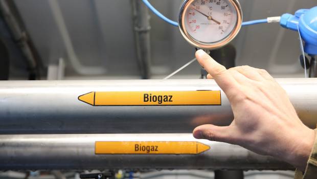 Une étude de Coénove remet en question la stratégie nationale bas carbone