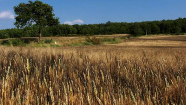 Un nouvel appel à projets Ecophyto 2 en Bretagne