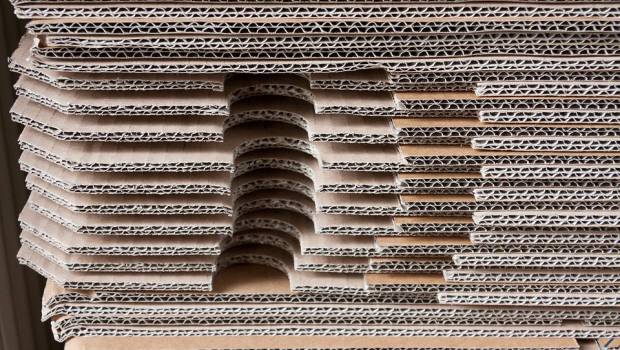 Emballage : le carton prêt à remplacer un cinquième des plastiques, selon DS Smith