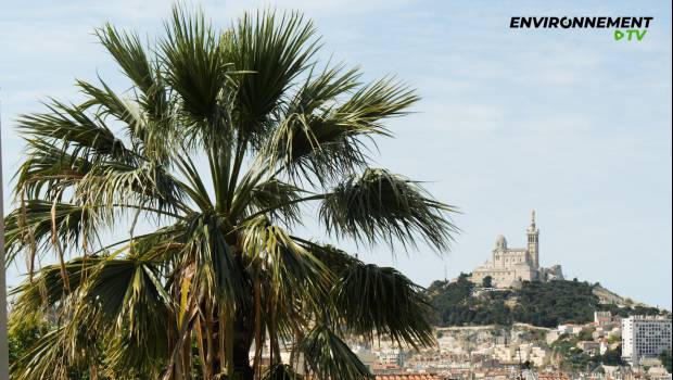Pollution : les bateaux de croisière font des ravages