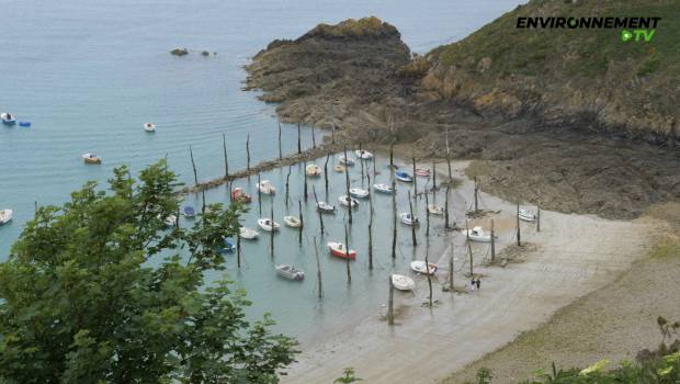 Bretagne : Plouha décroche le Pavillon Bleu