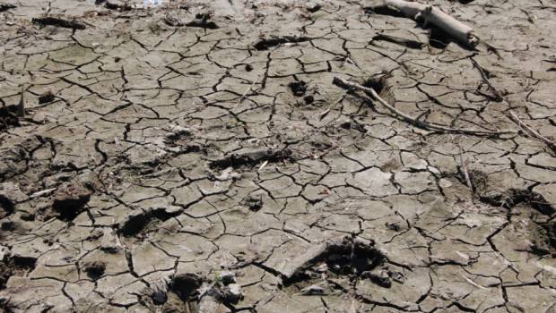 Sécheresse : la Commission européenne vient en aide aux agriculteurs