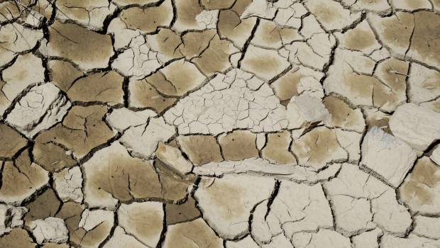 Sécheresse : Didier Guillaume annonce des mesures pour les agriculteurs