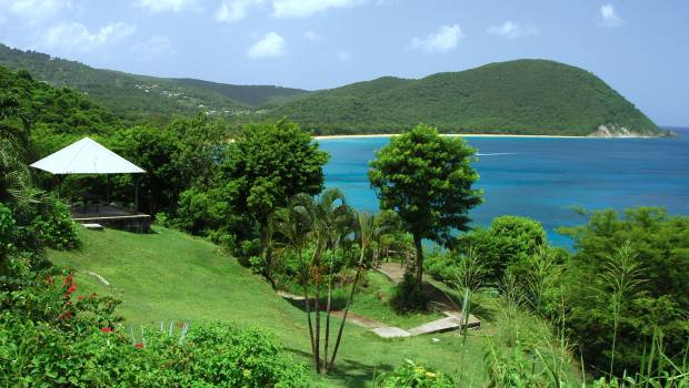 [Dossier] L’ARB Guadeloupe en gestation