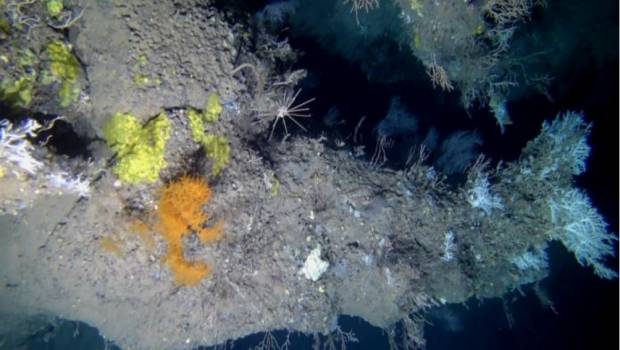L’Ifremer teste une caméra hyperspectrale pour cartographier les habitats marins