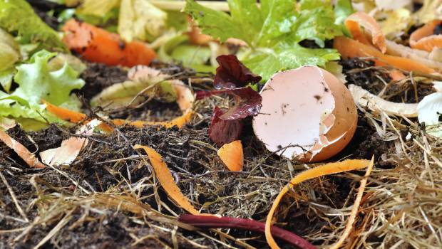 Ile-de-France : un appel à projets pour développer la collecte des biodéchets