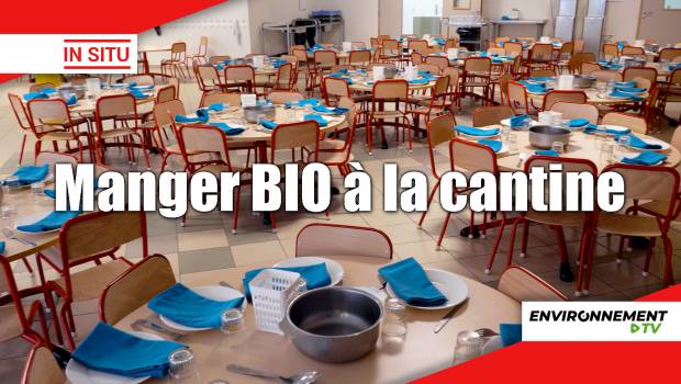 [Vidéo] Cantines : Montreuil mise sur le bio