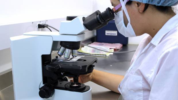 L'Inra et l'Irstea deviendront l'Inrae en janvier 2020