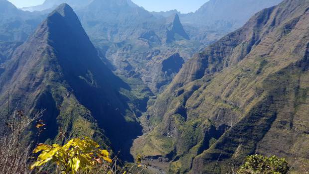Appel à projets pour la biodiversité dans les Outre-mer : l’AFB retient 99 lauréats