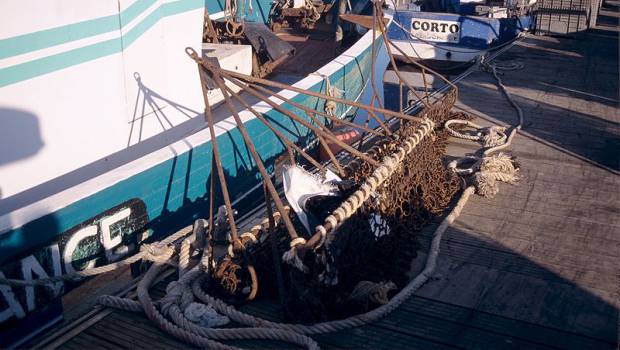 Des ONG alertent sur la protection des mers françaises