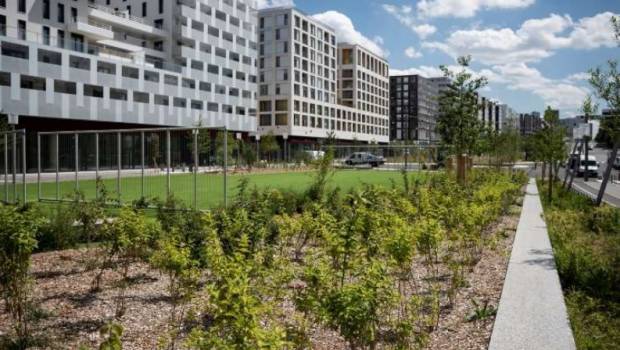 Biodiversité : le futur quartier Nanterre Coeur Université est récompensé