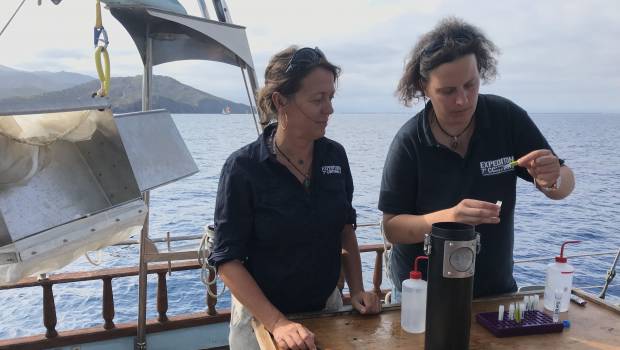La Méditerranée, piège à particules de plastique